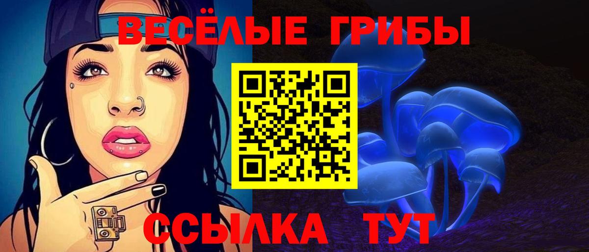 Галлюциногенные грибы MAGIC MUSHROOMS Городец